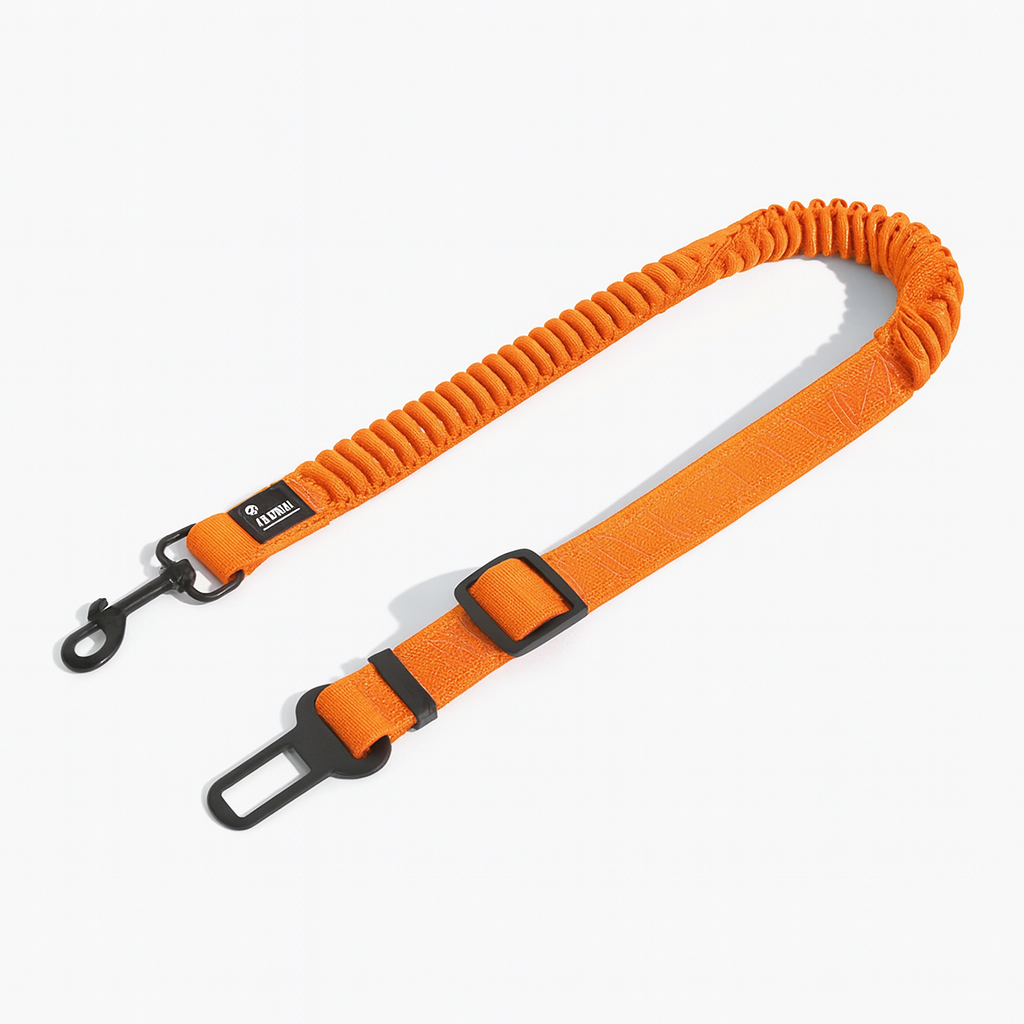 Cintura di sicurezza elastica per cani Anti-Colpo di Frusta