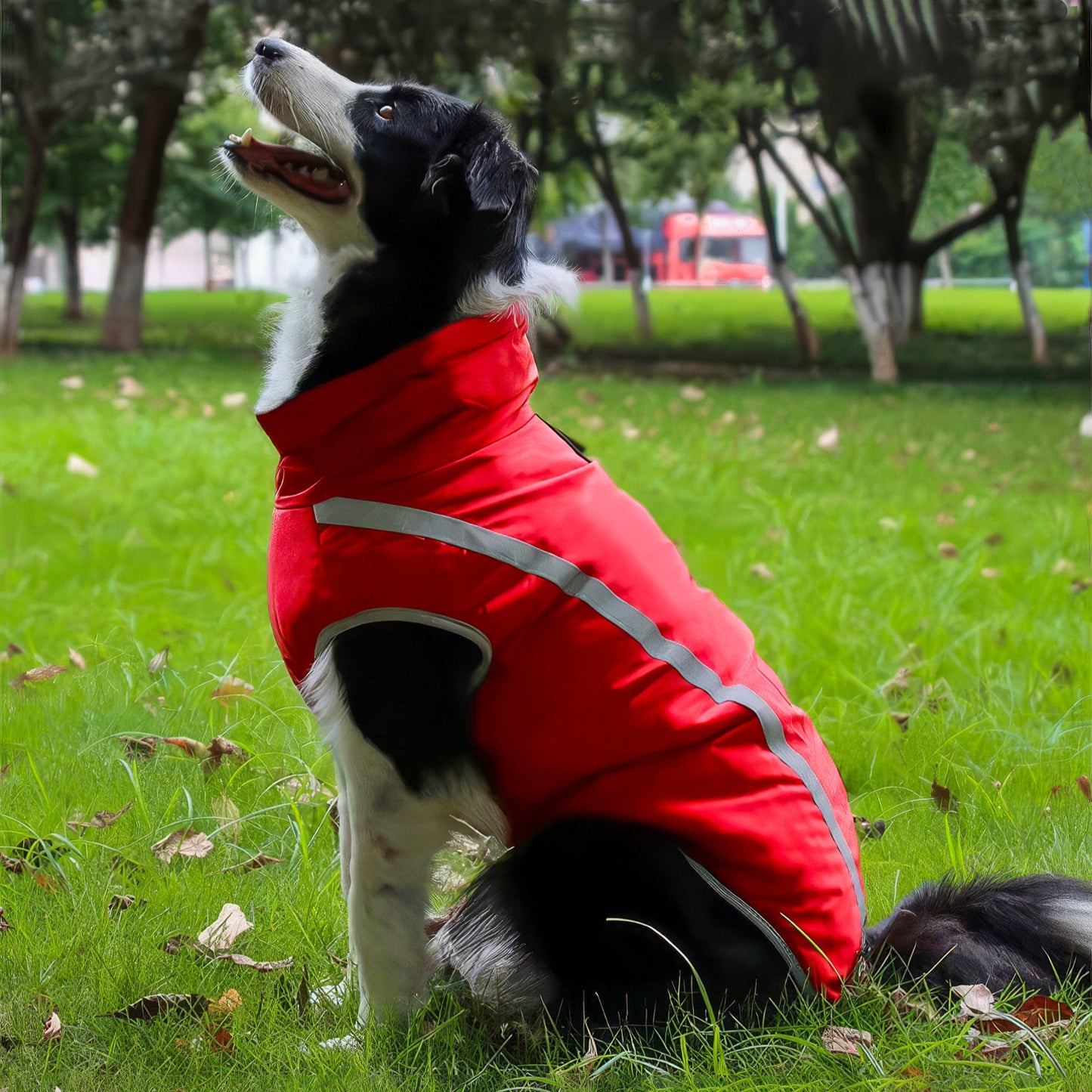 Impermeabile Catarifrangente Imbottito per Cani