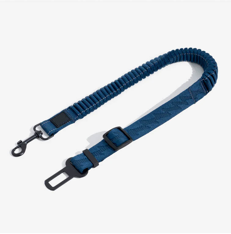 Cintura di sicurezza elastica per cani Anti-Colpo di Frusta
