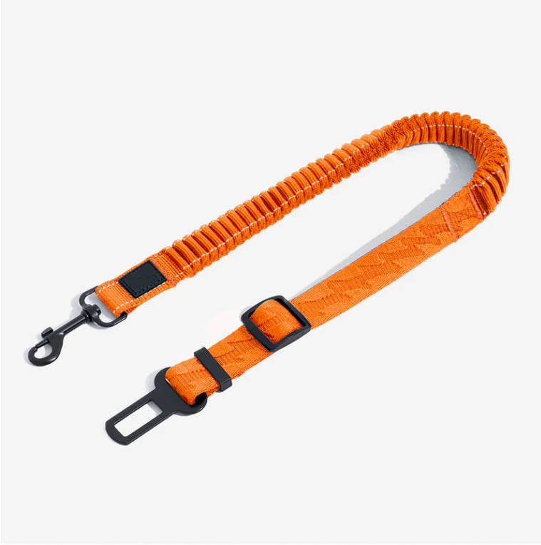 Cintura di sicurezza elastica per cani Anti-Colpo di Frusta