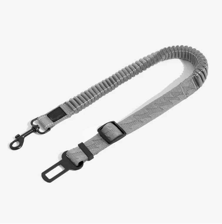 Cintura di sicurezza elastica per cani Anti-Colpo di Frusta
