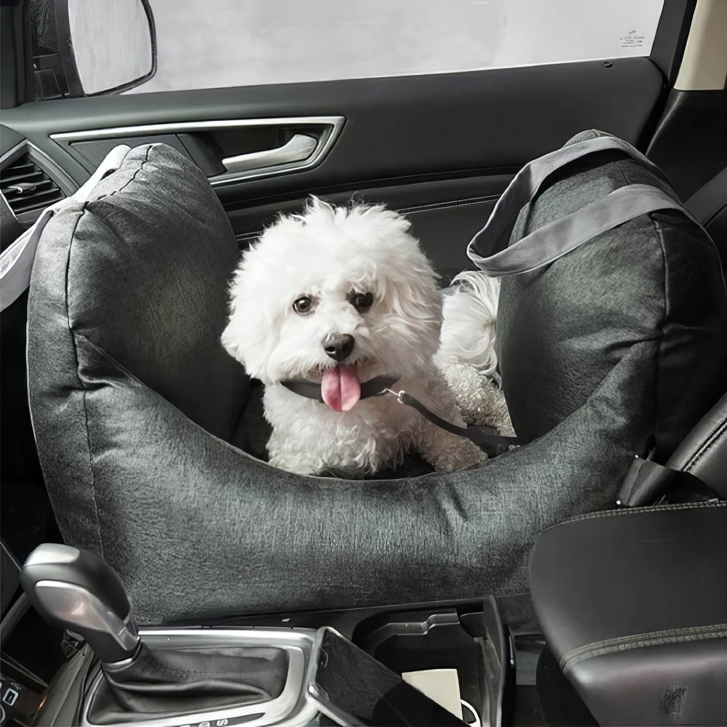 Seggiolino auto Per Cani 0-15 Kg - Prima Classe