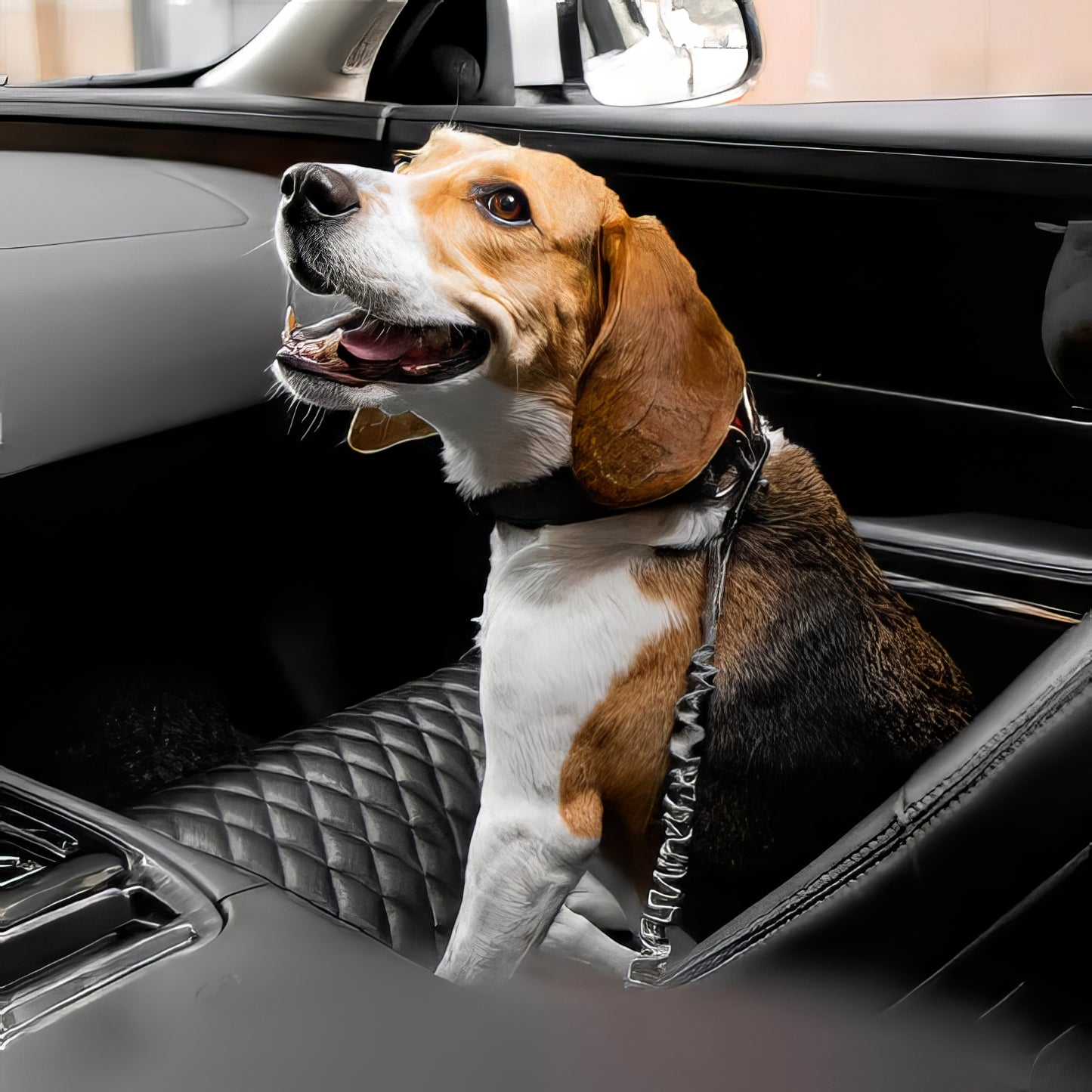 Cintura di sicurezza elastica per cani Anti-Colpo di Frusta