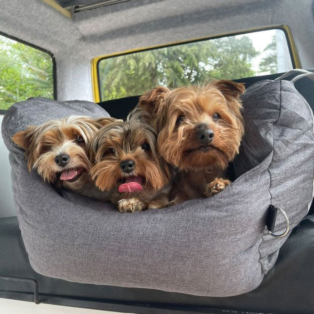 Seggiolino auto Per Cani 0-15 Kg - Prima Classe