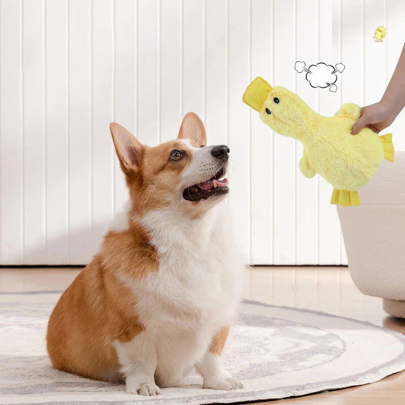 Peluche di anatra carina con fischietto, giocattolo per cani.