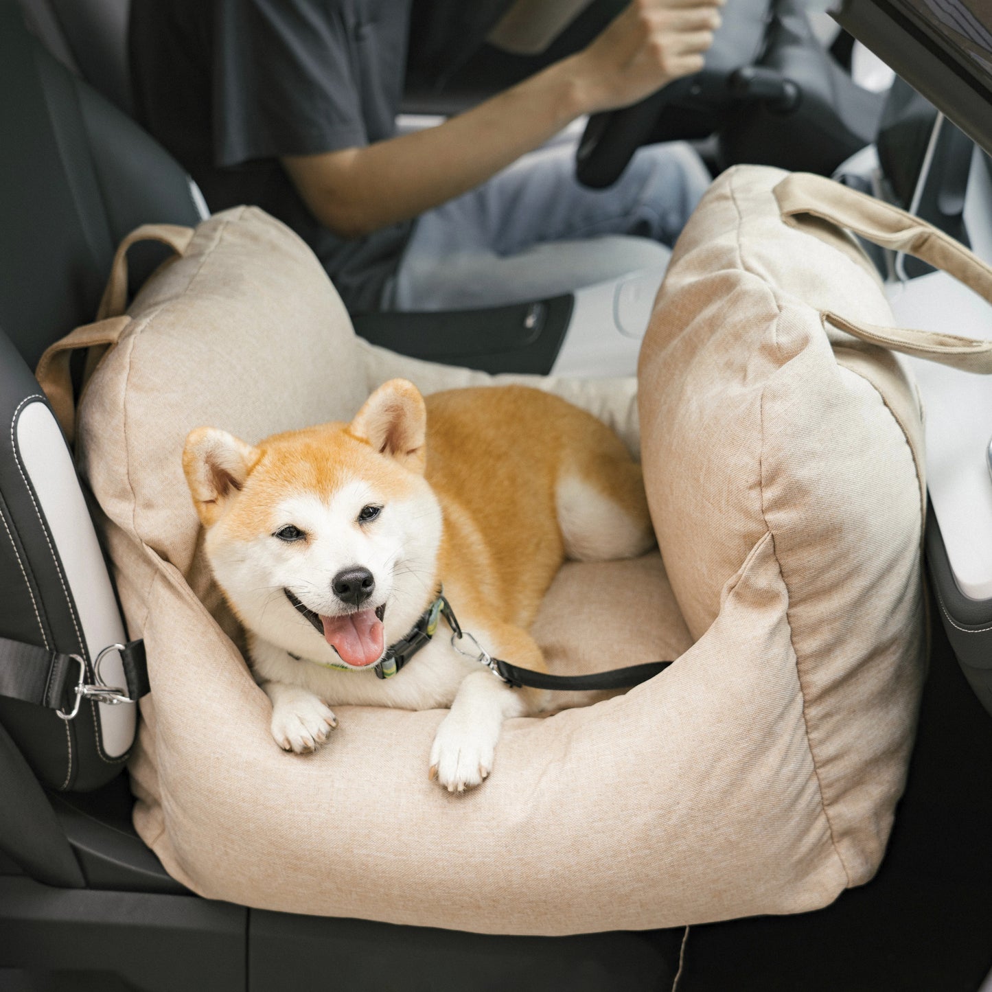 Seggiolino auto Per Cani 0-15 Kg - Prima Classe