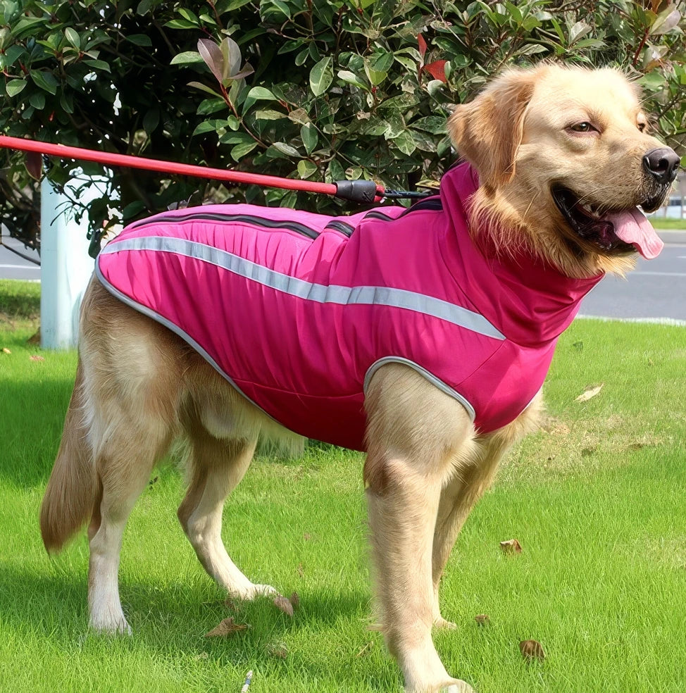 Impermeabile  Catarifrangente Imbottito per Cani