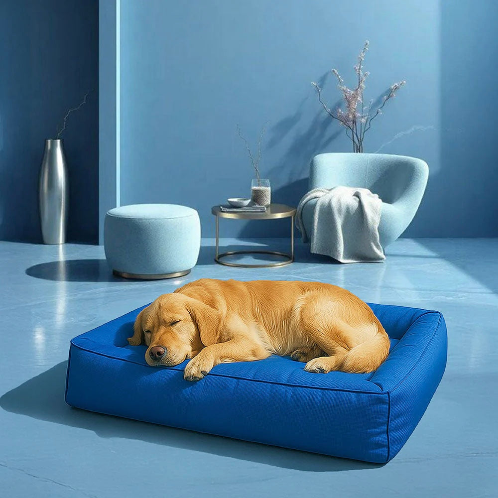 Cuccia Ortopedica Impermeabile per cani Antimorso