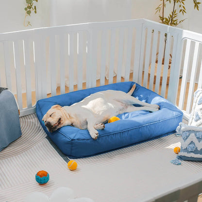 Cuccia Ortopedica Impermeabile per cani Antimorso