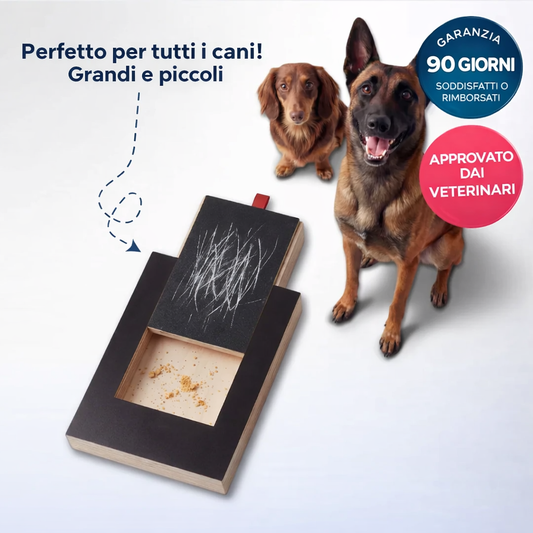 Tavoletta Tiragraffi per Cani con Sorpresa