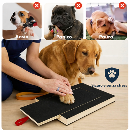 Tavoletta Tiragraffi per Cani con Sorpresa