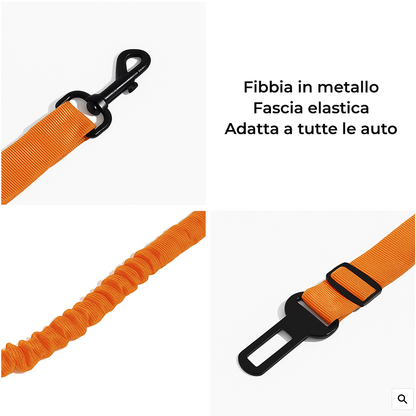 Cintura di sicurezza elastica per cani Anti-Colpo di Frusta