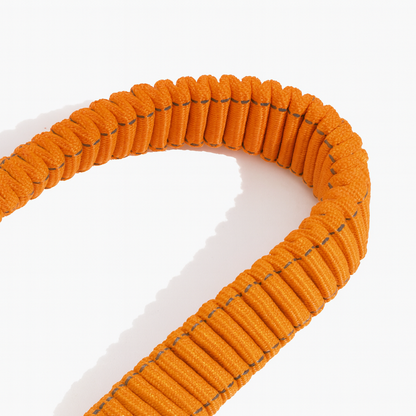 Cintura di sicurezza elastica per cani Anti-Colpo di Frusta