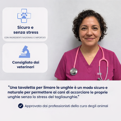 Tavoletta Tiragraffi per Cani con Sorpresa