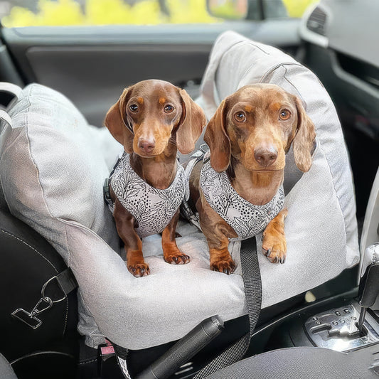 Seggiolino auto Per Cani 0-15 Kg - Prima Classe
