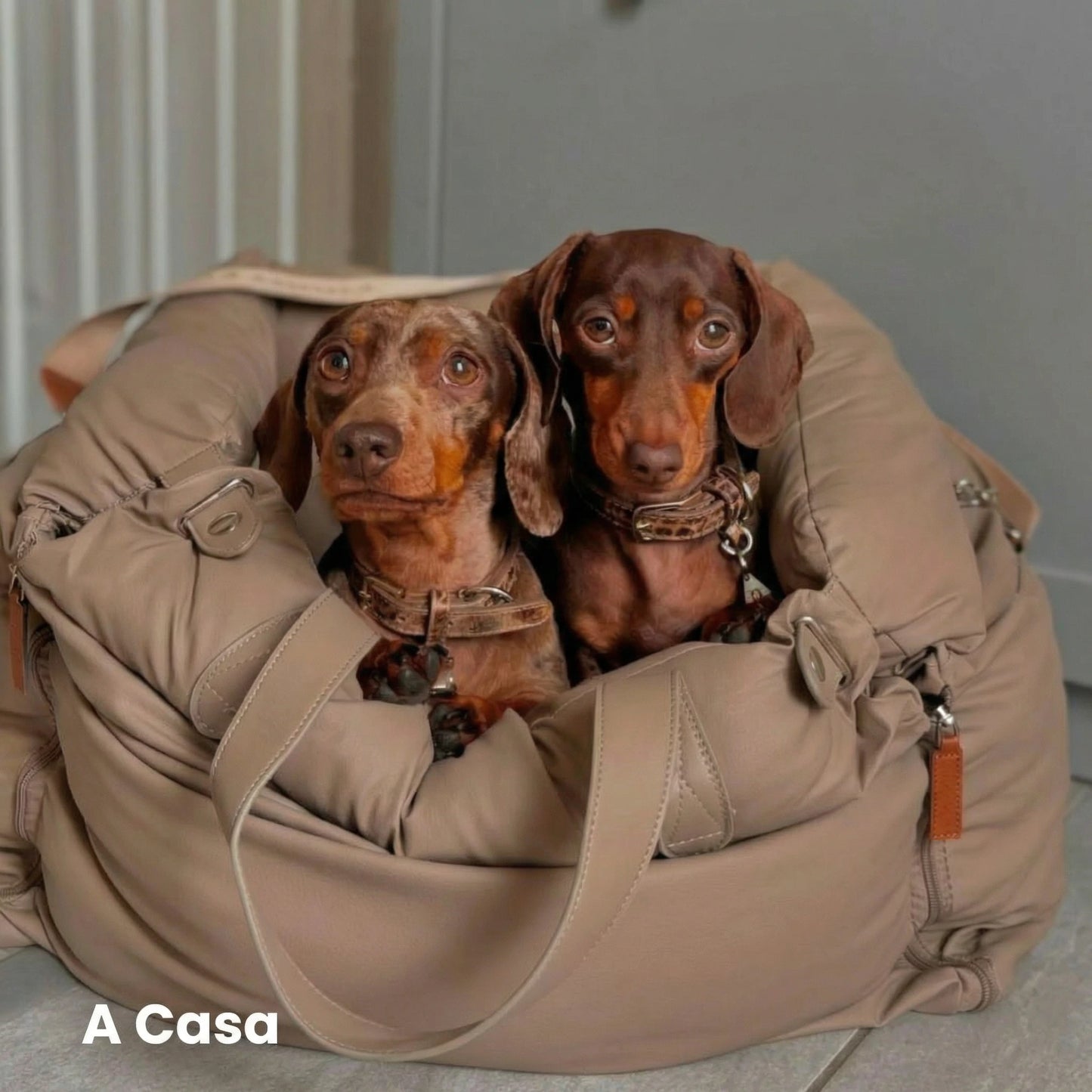 Seggiolino Auto per Cani Comfort Urbano – FidoSeat