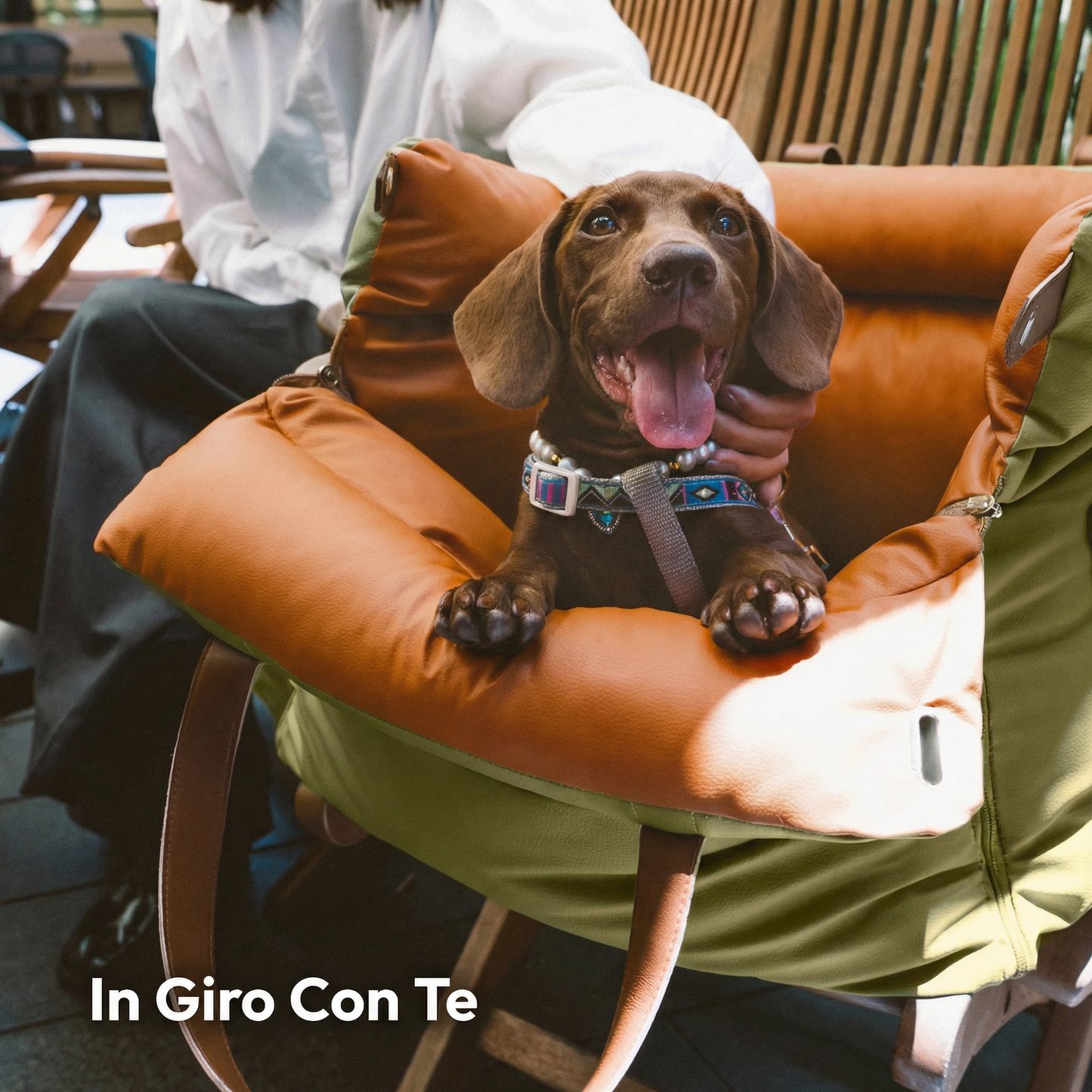 Seggiolino Auto per Cani Comfort Urbano – FidoSeat
