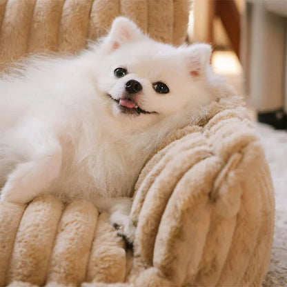 Divano Ortopedico per Cani in Peluche Sogni Perfetti – Soffice e Lavabile