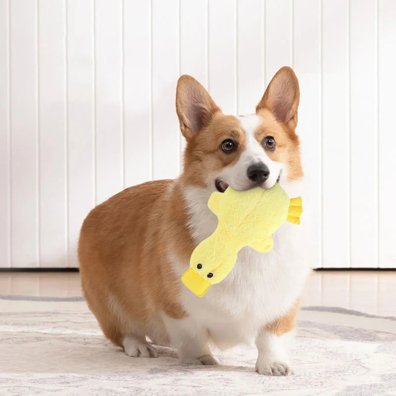 Peluche di anatra carina con fischietto, giocattolo per cani.