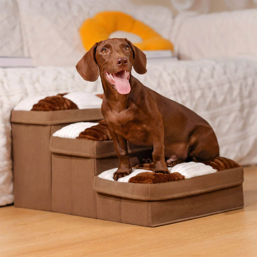 Scaletta Per Cani Artigianale con Motivo a Scacchiera