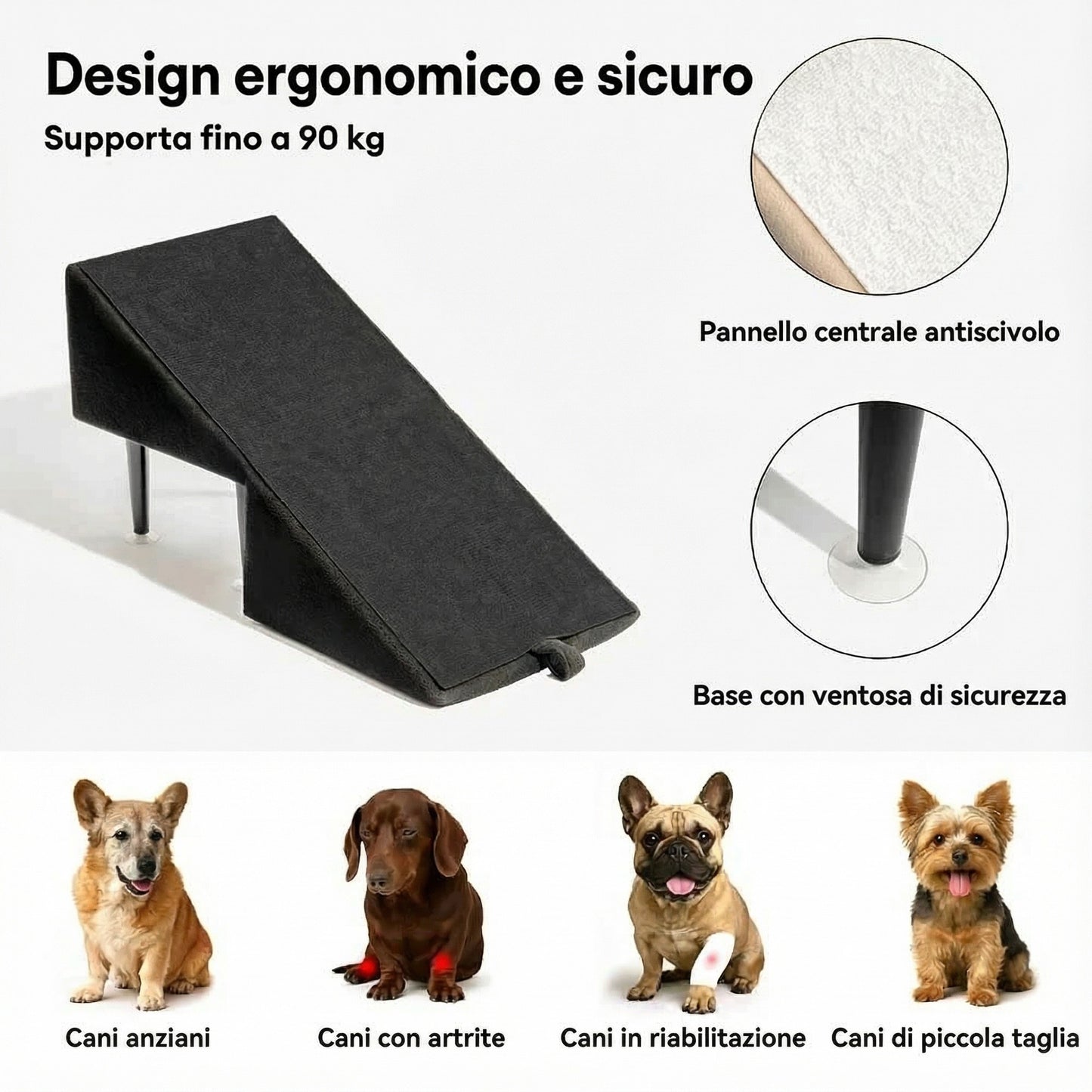 Rampa/Sgabello per cani - Convertibile 2 in 1