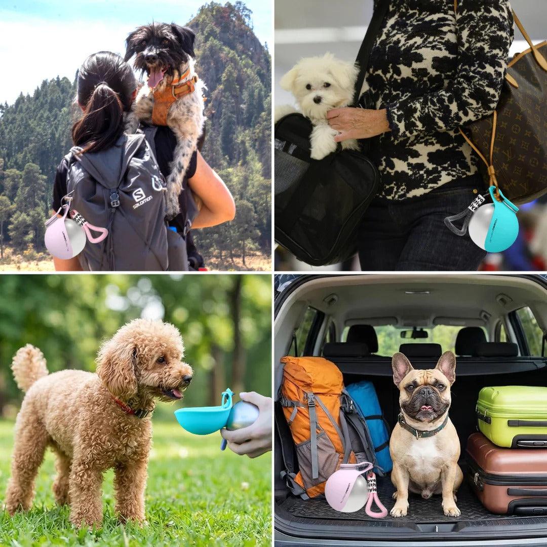 Borraccia per Cani con Ciotola